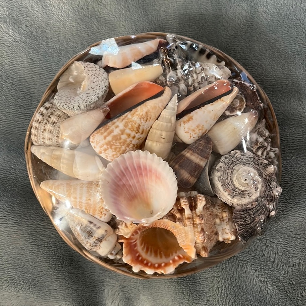 Shell Basket